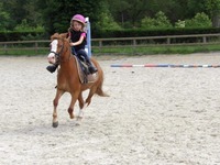 CENTRE EQUESTRE DE TREMELIN